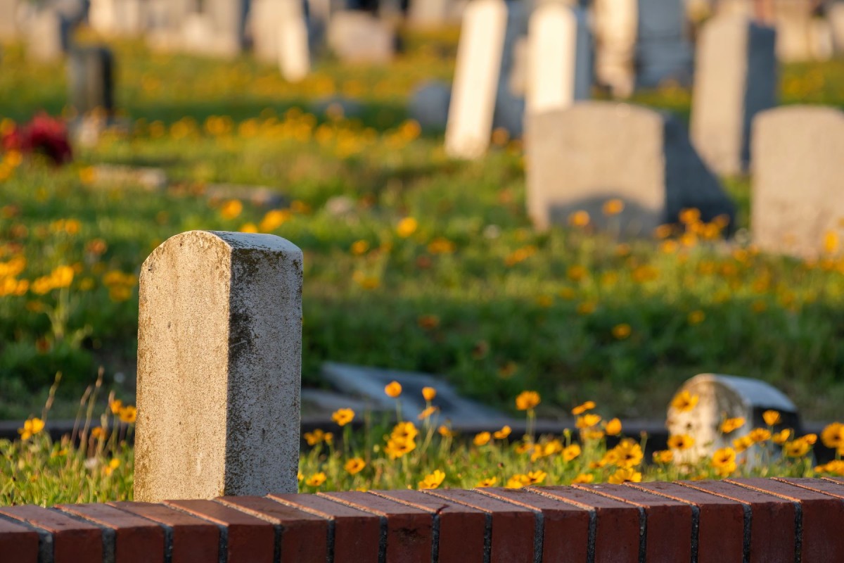 cemetery with wildflowers